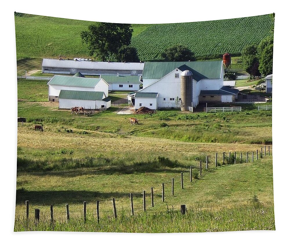 Amish Tapestry featuring the photograph Amish Farm by Steve Ondrus