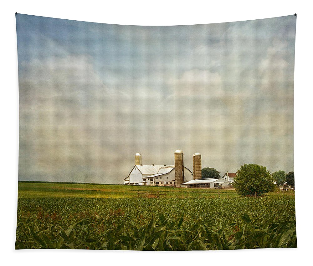Rural Tapestry featuring the photograph Amish Farmland by Kim Hojnacki