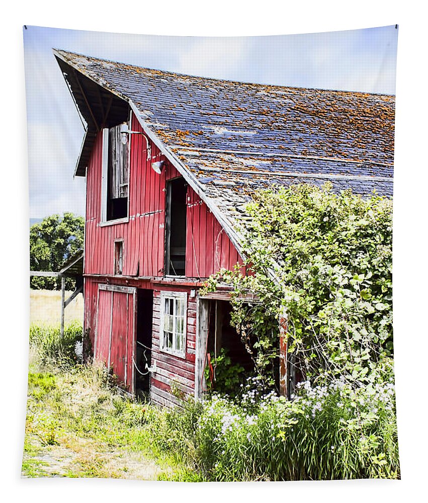 Barn Tapestry featuring the photograph An Old Barn in color by Cathy Anderson