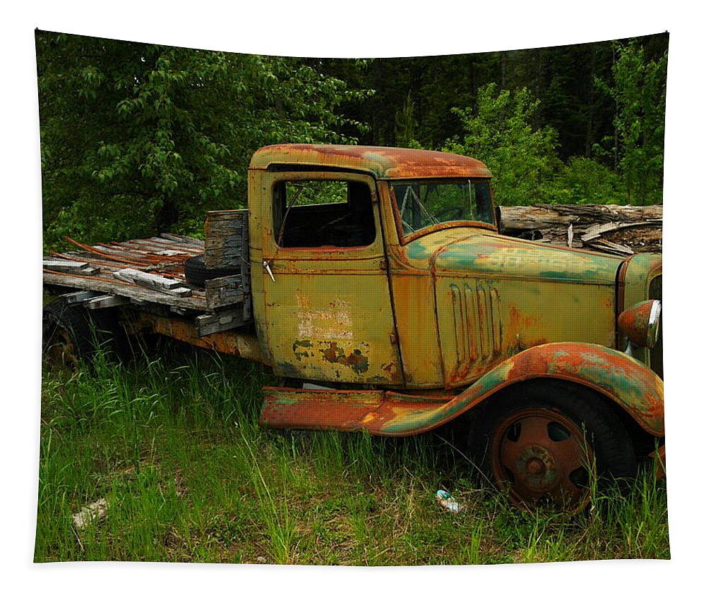 Trucks Tapestry featuring the photograph An Old Flatbed by Jeff Swan