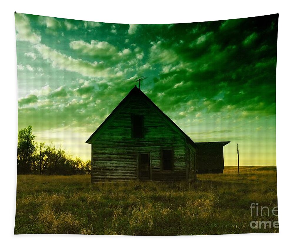 Houses Tapestry featuring the photograph An Old North Dakota Farm House by Jeff Swan