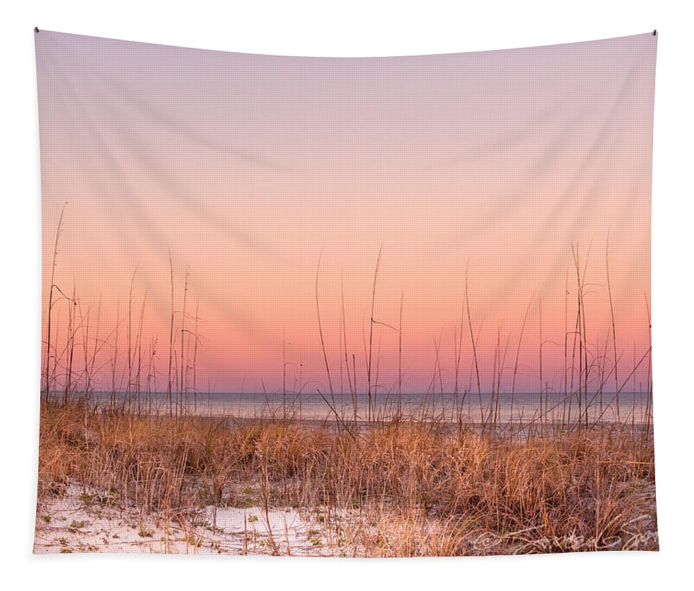 St. Augustine Tapestry featuring the photograph Anastasia Beach Dunes sunset by Stacey Sather