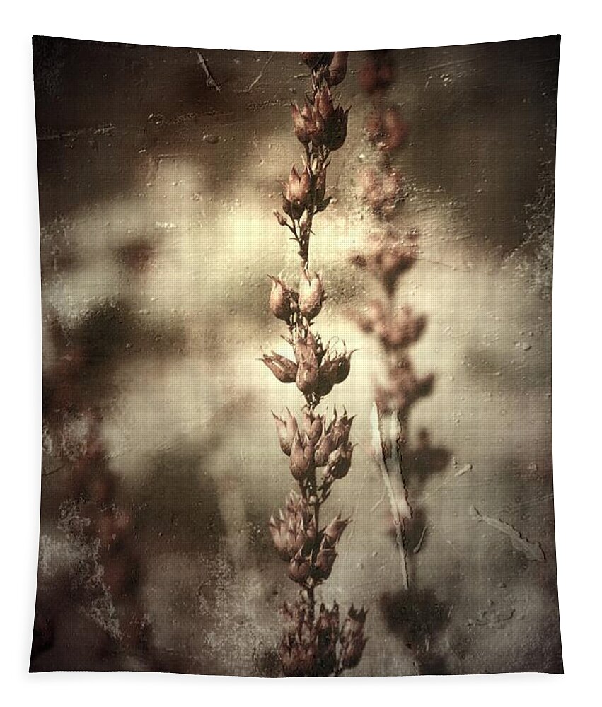 Desert Tapestry featuring the photograph And Ever by Mark Ross