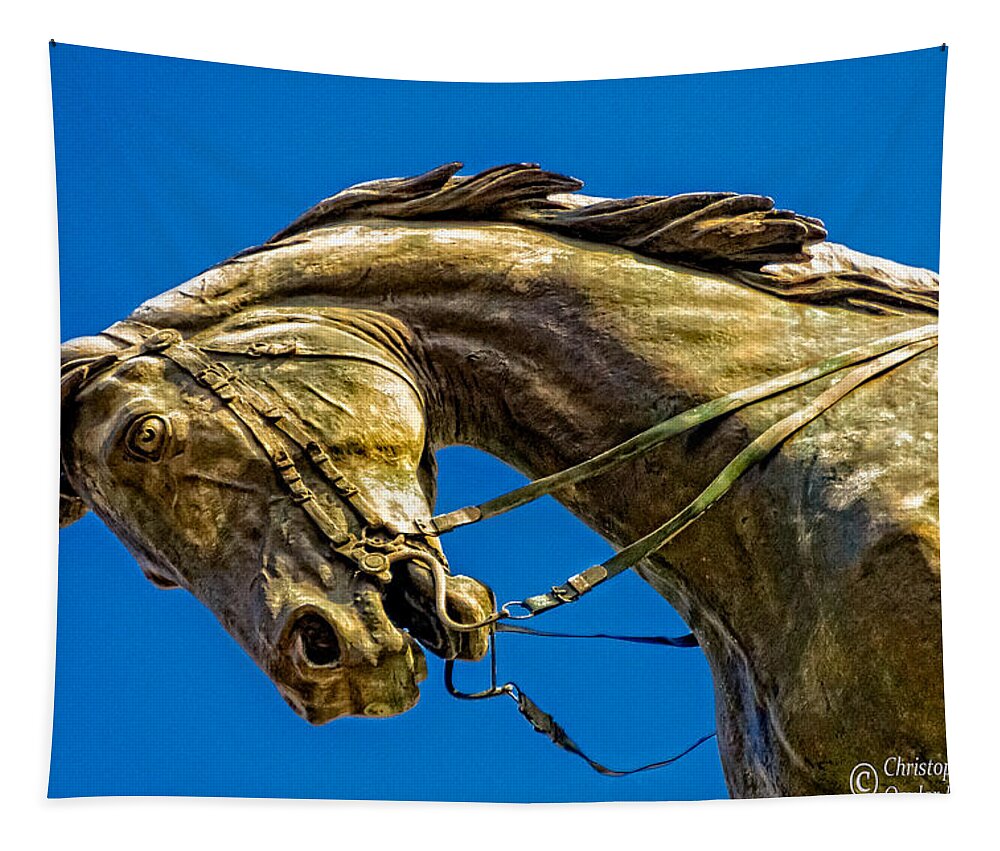 Horse Tapestry featuring the photograph Andrew Jackson's Horse by Christopher Holmes