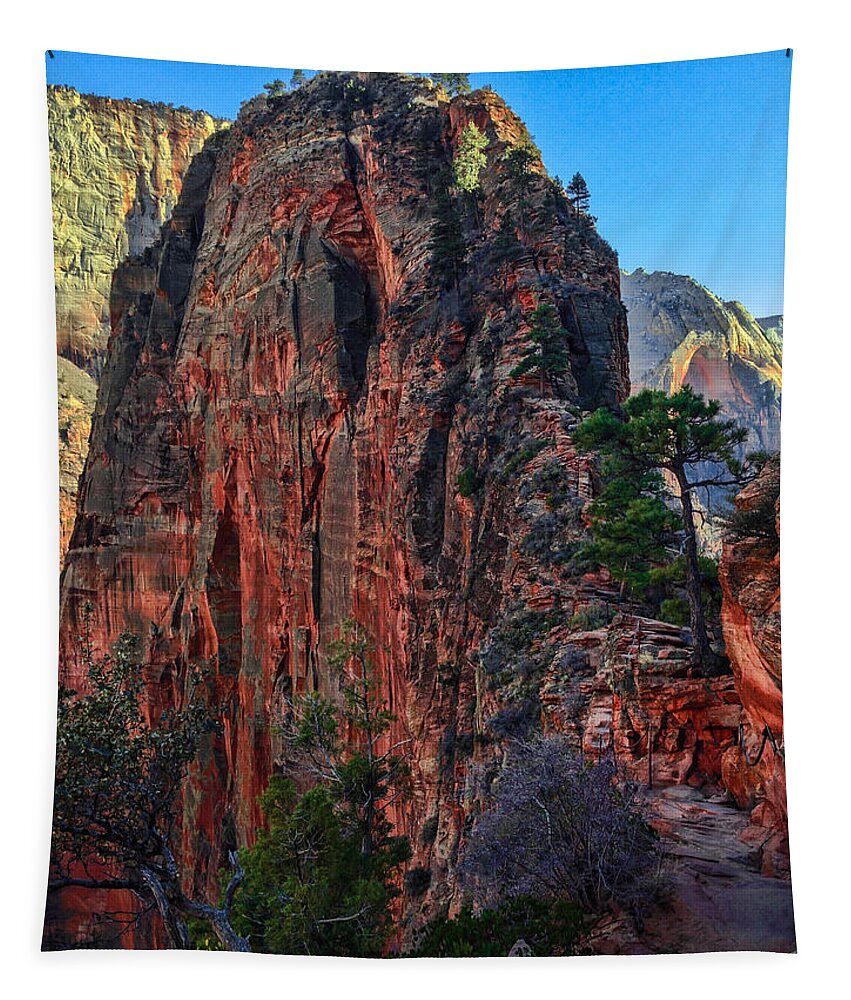 Zion Tapestry featuring the photograph Angel's Landing by Chad Dutson