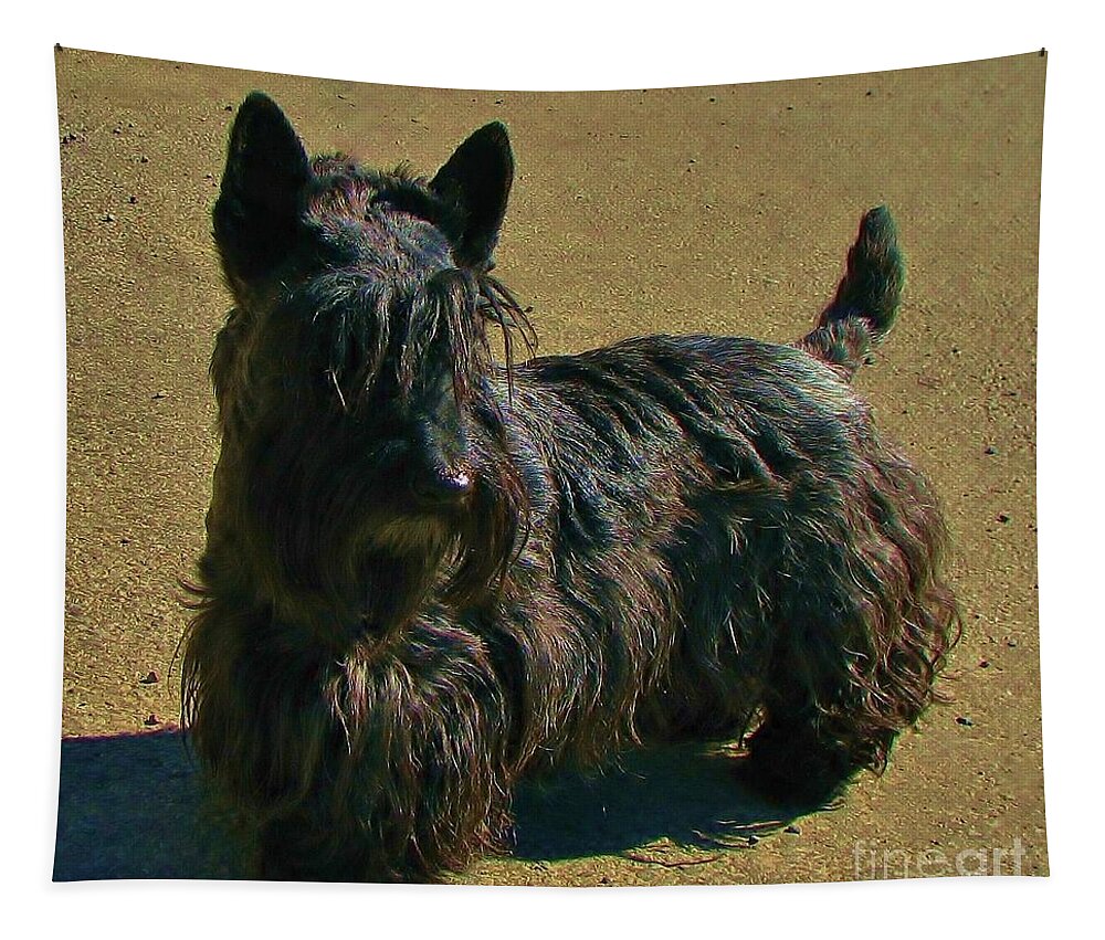 Scottish Terrier Tapestry featuring the photograph Angus by Michele Penner