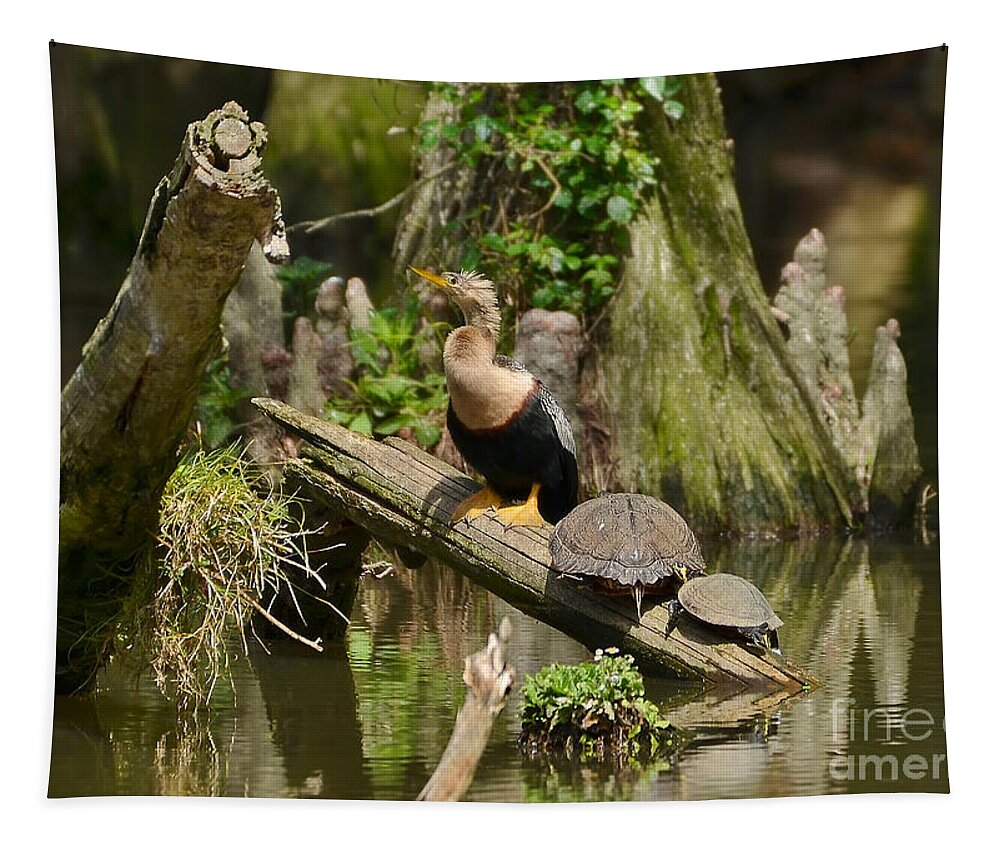 Birds Tapestry featuring the photograph Anhinga And Turtles In The Swamp by Kathy Baccari