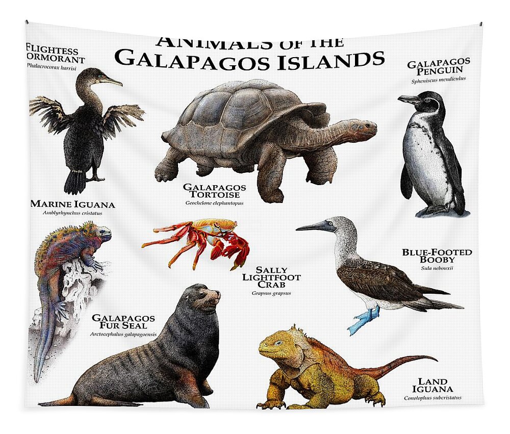 Animal Tapestry featuring the photograph Animals Of The Galapagos Islands by Roger Hall