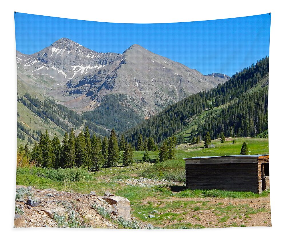 Photo Tapestry featuring the photograph Animas Forks Jail by Dan Miller