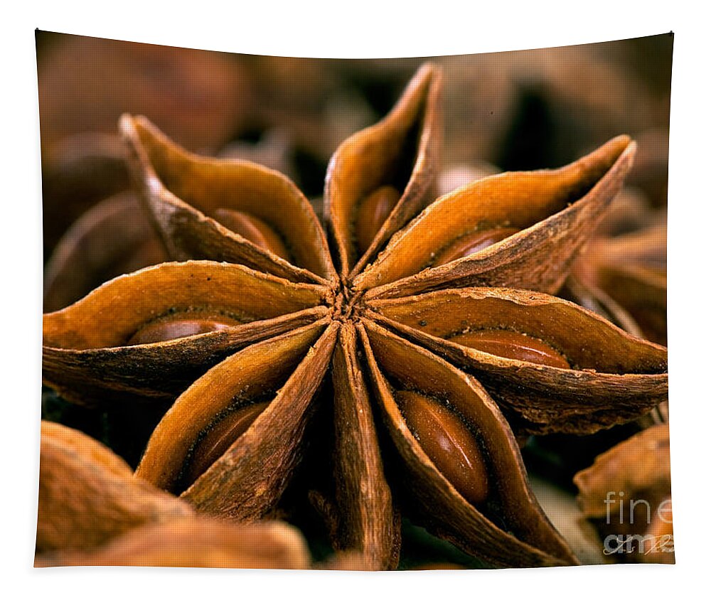 Anise Tapestry featuring the photograph Anise Star by Iris Richardson