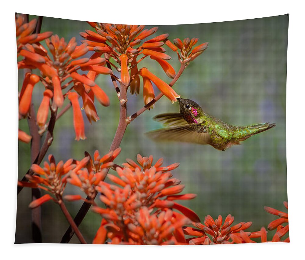 Hummingbird Tapestry featuring the photograph Anna's Hummingbird by Linda Villers