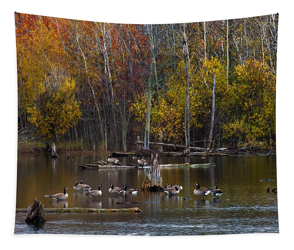 Goose Tapestry featuring the photograph Annual Meet and Greet at the Pond by Robin Webster