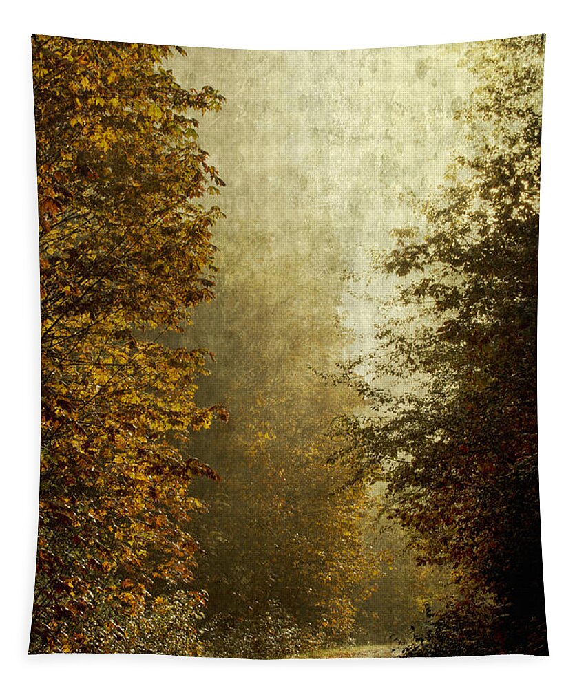 Fall Color Tapestry featuring the photograph Another Road Travelled by Belinda Greb