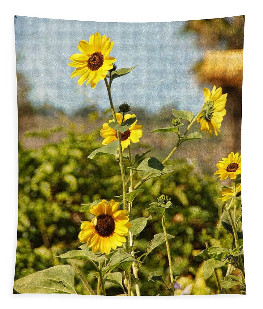 Rural Tapestry featuring the photograph Another sunny day in SoCal by Peggy Hughes