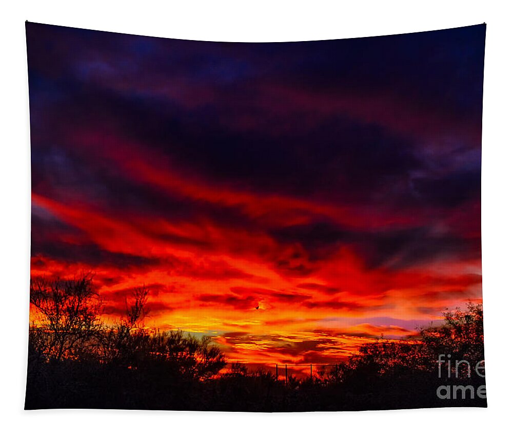 Arizona Tapestry featuring the photograph Another Tucson Sunset by Mark Myhaver