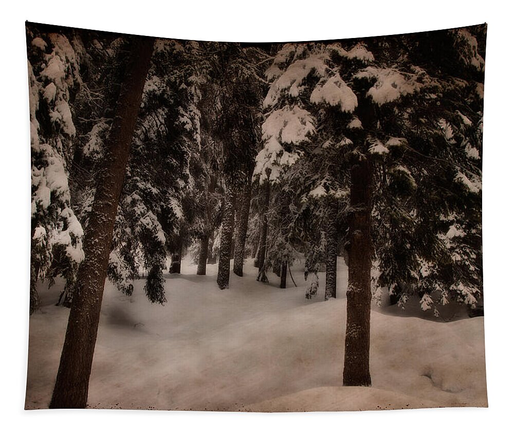 Environment Tapestry featuring the photograph Antique woodscape by Roberto Pagani