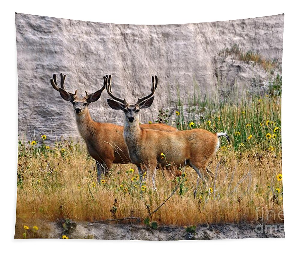 Buck Tapestry featuring the photograph Antler to Antler by Deanna Cagle