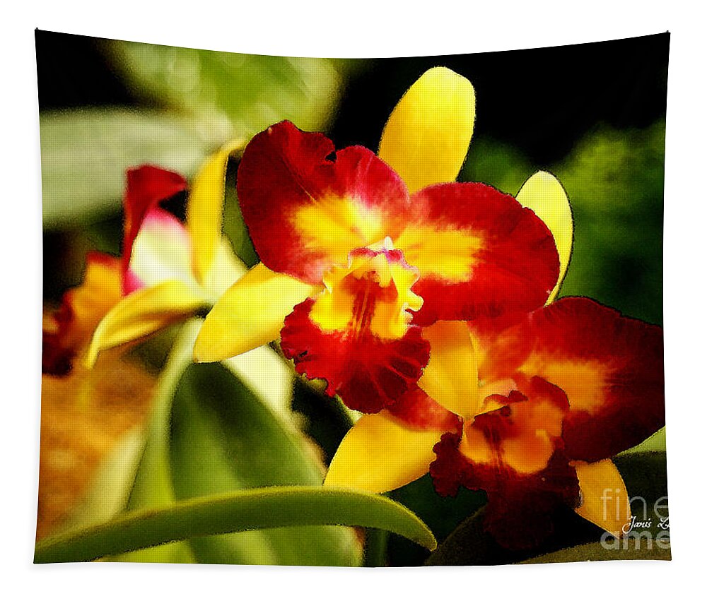 Orchid Tapestry featuring the photograph AOS Yellow Orchid 2 by Janis Lee Colon
