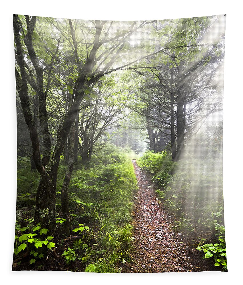 American Tapestry featuring the photograph Appalachian Trail by Debra and Dave Vanderlaan