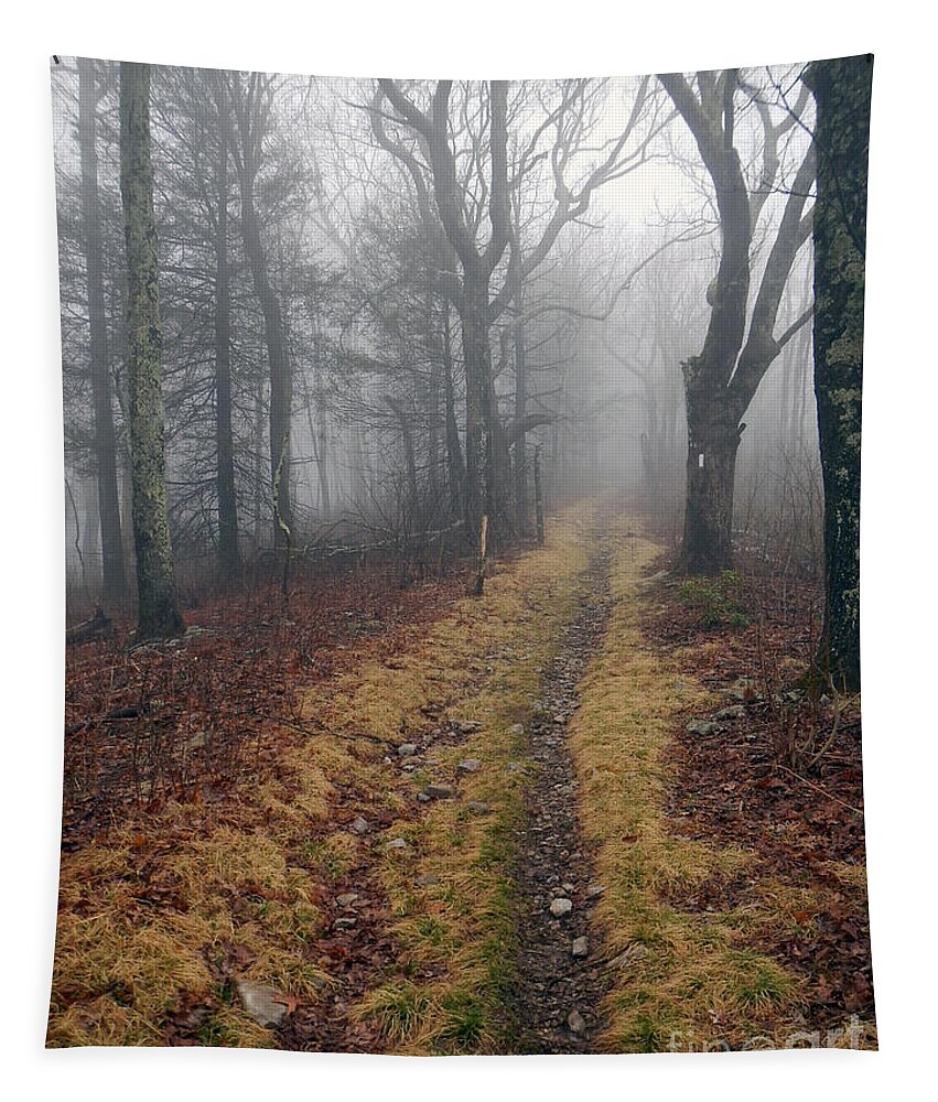 At Tapestry featuring the photograph Appalachian Trail Fog by Glenn Gordon