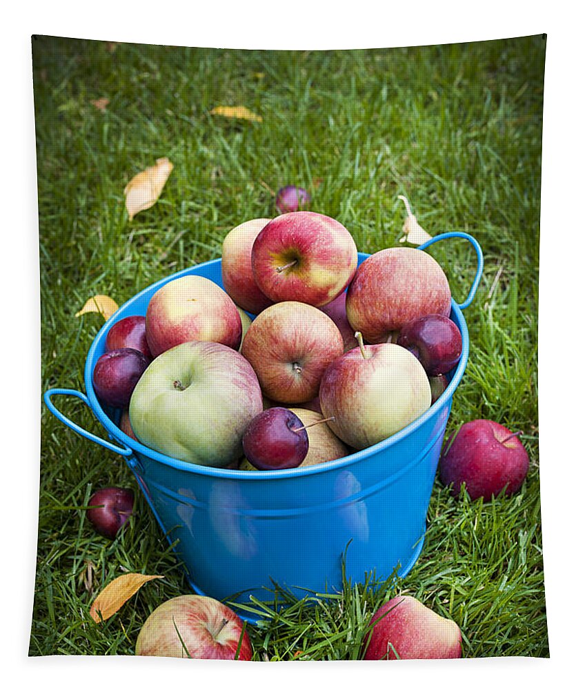 Apples Tapestry featuring the photograph Apple harvest by Elena Elisseeva