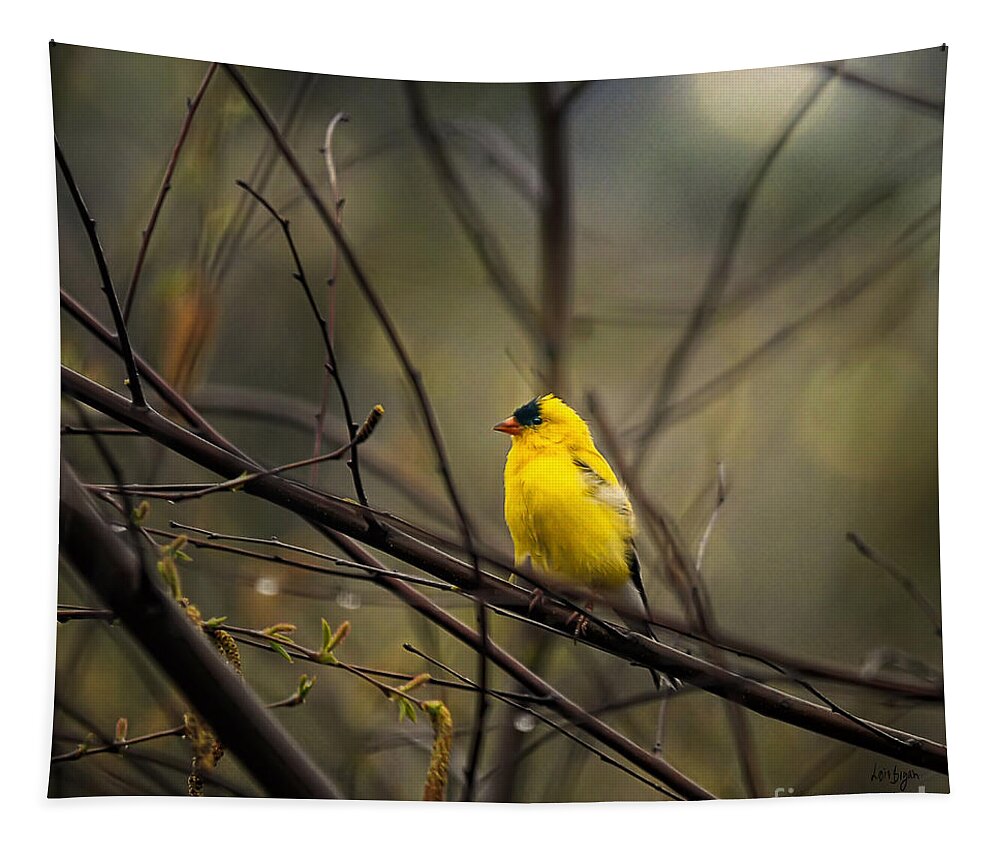 Bird Tapestry featuring the photograph April Showers in Square Format by Lois Bryan