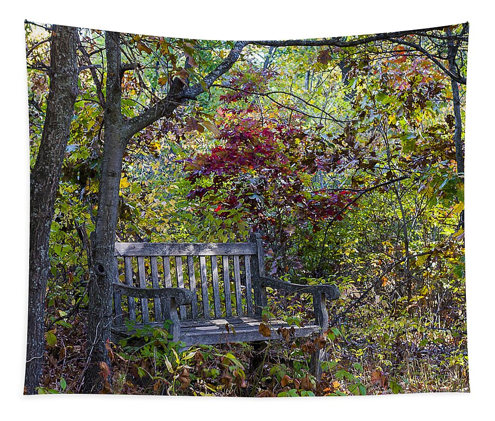 Arboretum Tapestry featuring the photograph Arboretum bench by Steven Ralser
