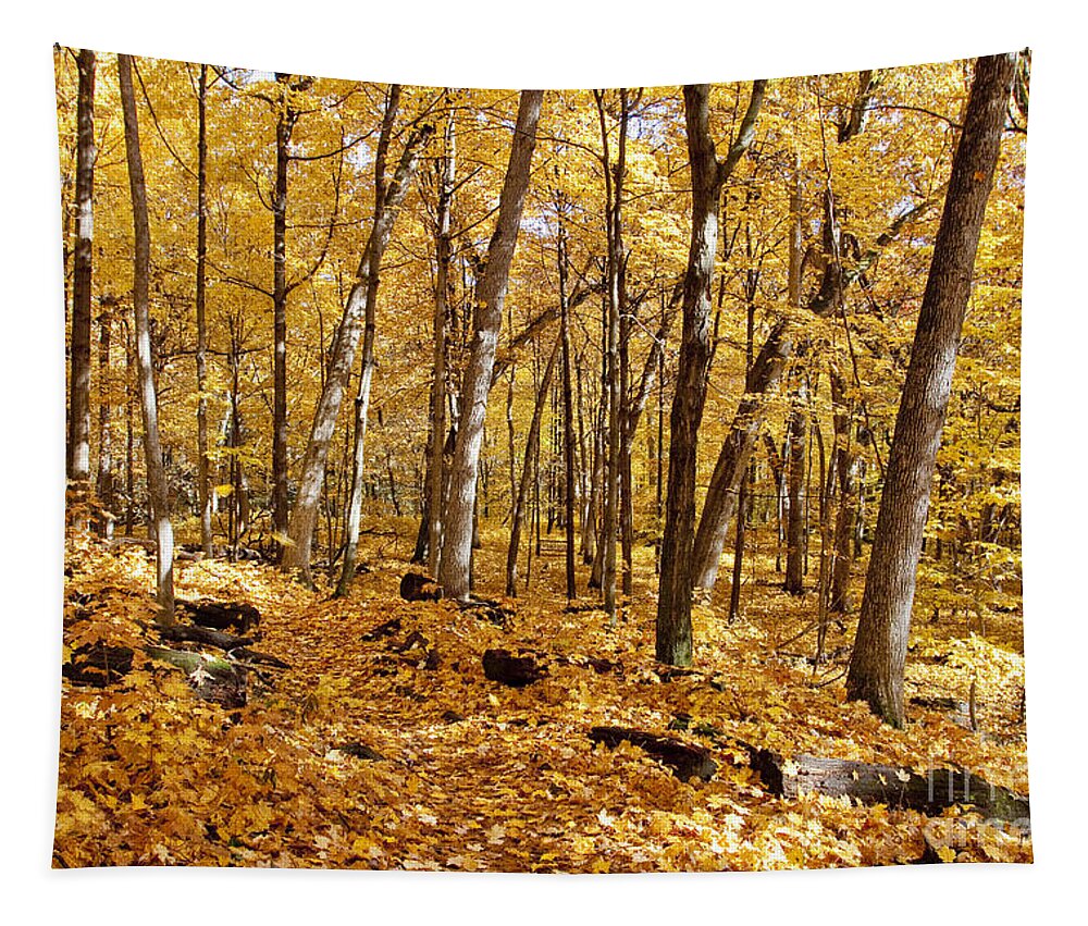 Arboretum Tapestry featuring the photograph Arboretum trail by Steven Ralser