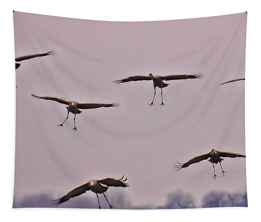 Cranes Tapestry featuring the photograph Are You Sure this is the Spot by Don Schwartz