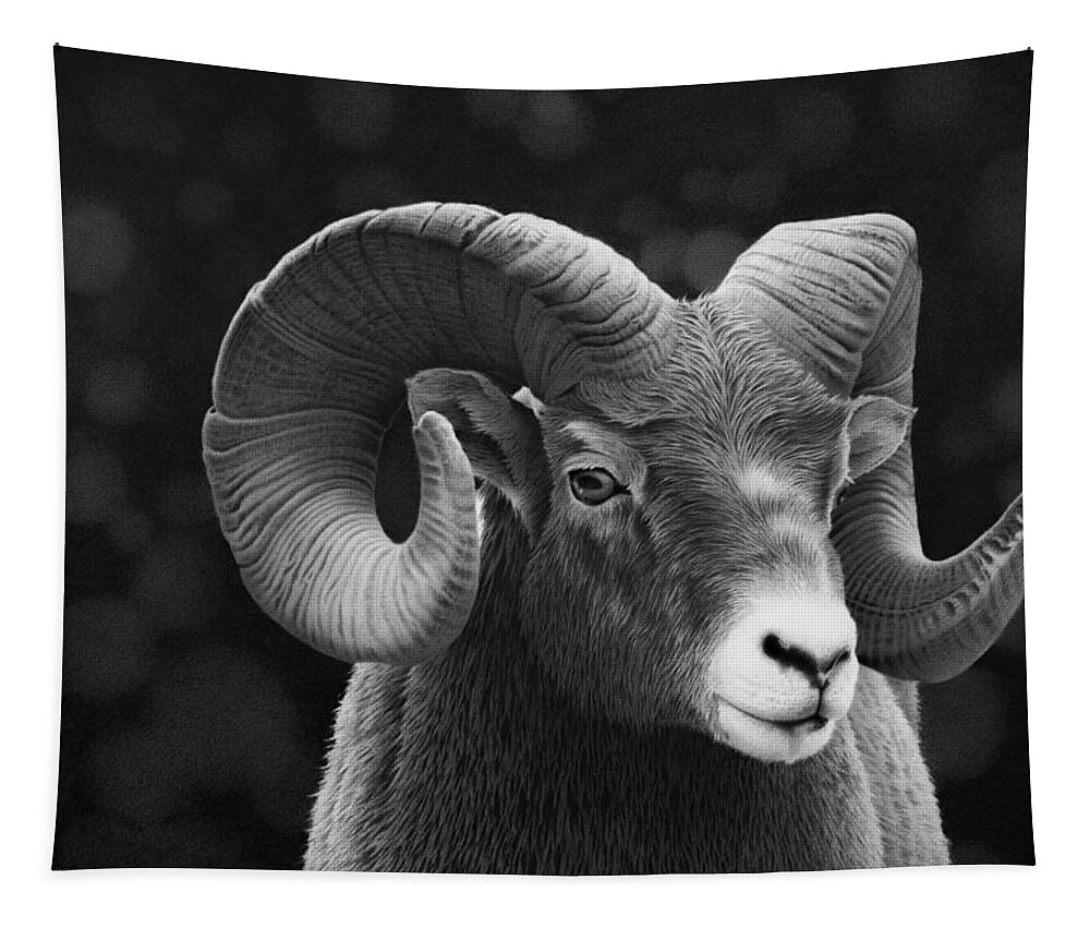 Ram Tapestry featuring the drawing Aries by Stirring Images