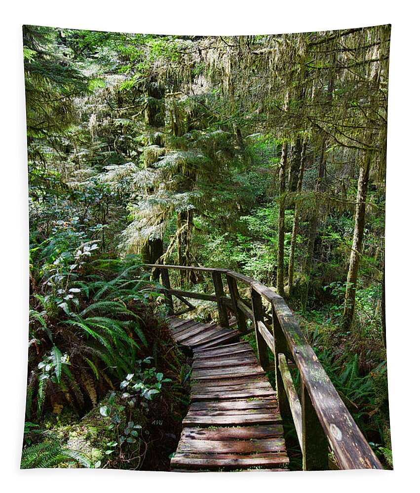 Tofino Tapestry featuring the photograph Around the Bend by Allan Van Gasbeck