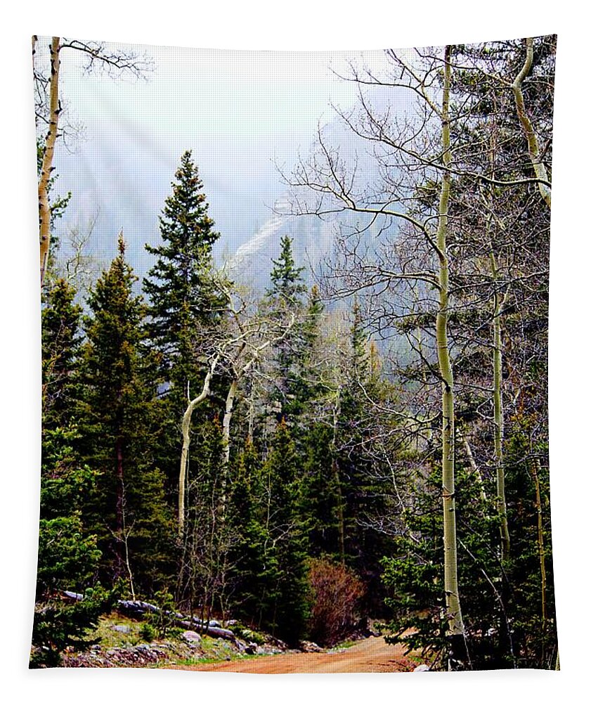 Colorado Landscape Tapestry featuring the photograph Around the Bend by Barbara Chichester