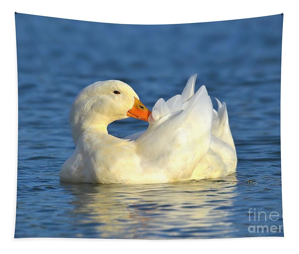 Duck Tapestry featuring the photograph As White As Snow by Kathy Baccari