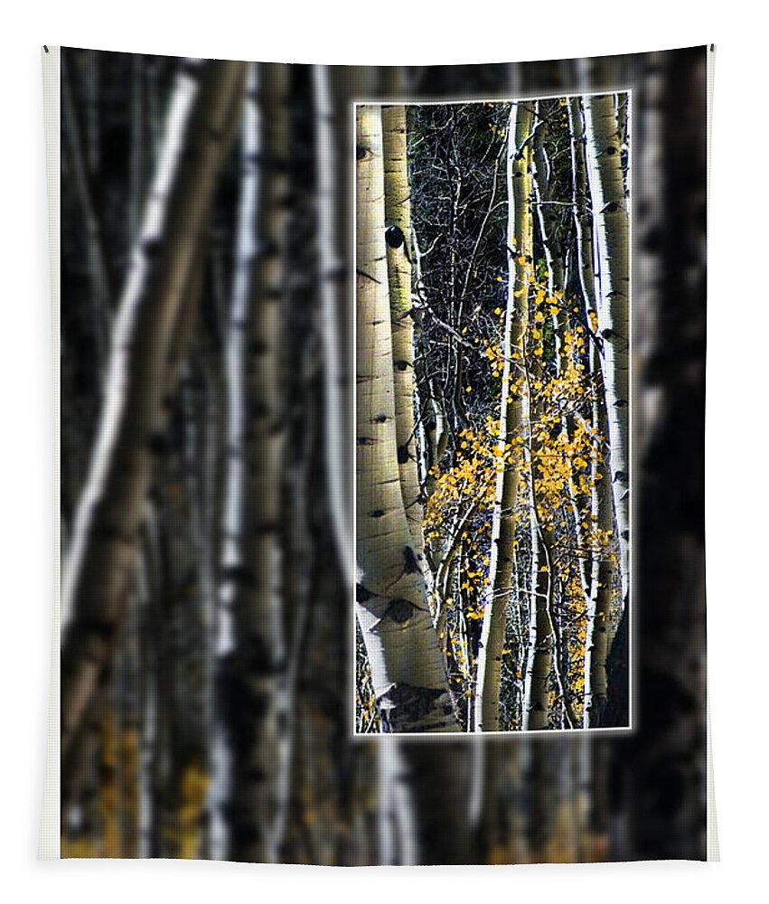 Aspen Tapestry featuring the photograph Aspen Grove by Peggy Dietz