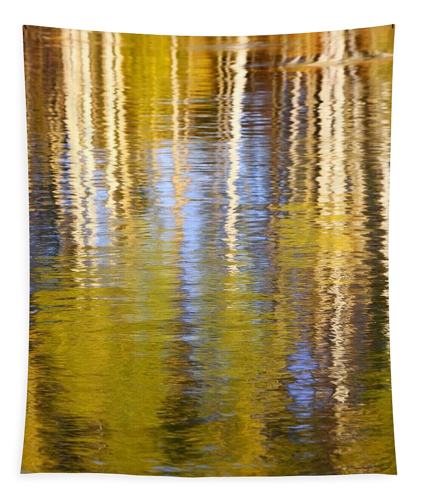 Aspen Landscape Tapestry featuring the photograph Aspen Reflection by Kevin Desrosiers