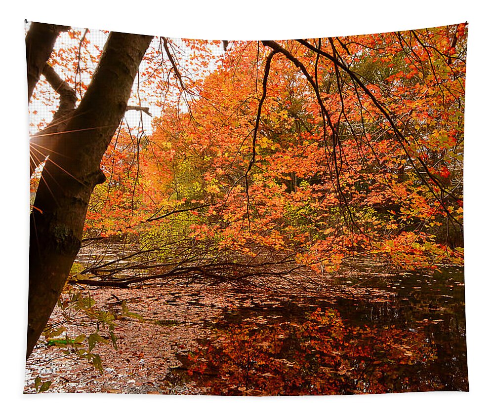 Rhode Island Tapestry featuring the photograph At Its Best by Lourry Legarde