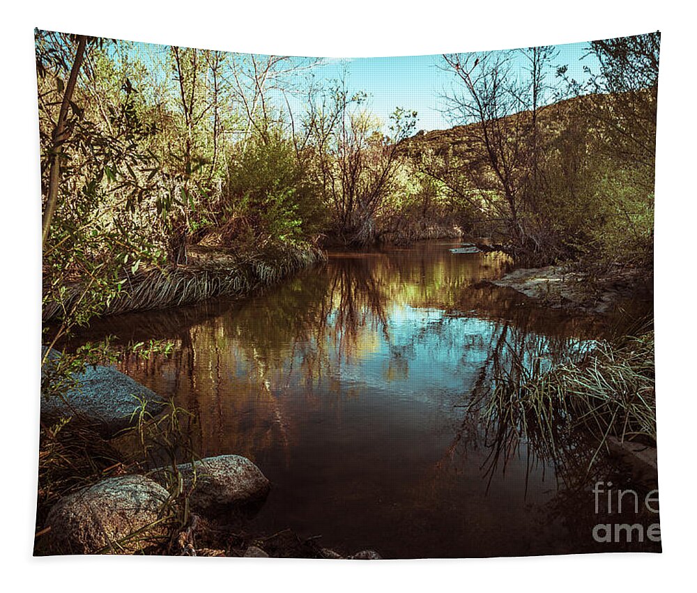 California Tapestry featuring the photograph At the River by Alexander Kunz