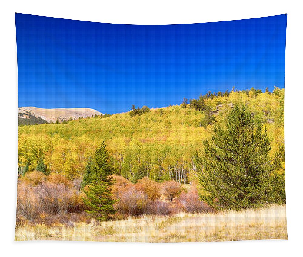 Autumn; Colorful; Fall Foliage; Autumn Colors; Trees; Nature; Aspens; Cottonwood; Winter; Autumn Landscape; Colorado Autumn; Colorado; Red; Orange; Gold; Blue; Blue Sky; Colorado Nature; Colorado Landscapes; Fine Art; Colorado Nature Landscape; James Bo Insogna; Decorative; Decoration; Corporate Art; Gifts; For Sale; Mountain; Rocky; Mountains; Rockies; Peak; Forest; Travel; Background; Green; Tree; Wilderness; Beautiful; Beauty; Seasons; October; September; Rocky Mountains; Saguache County; Tapestry featuring the photograph Autumn Bonanza Panorama by James BO Insogna