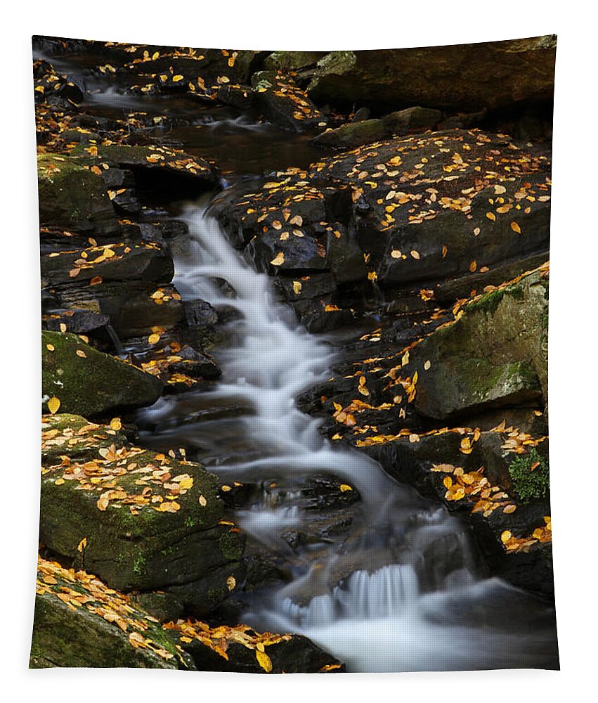 Chesterfield Gorge Tapestry featuring the photograph Autumn Cascade at Chesterfield Gorge - New Hampshire by Juergen Roth