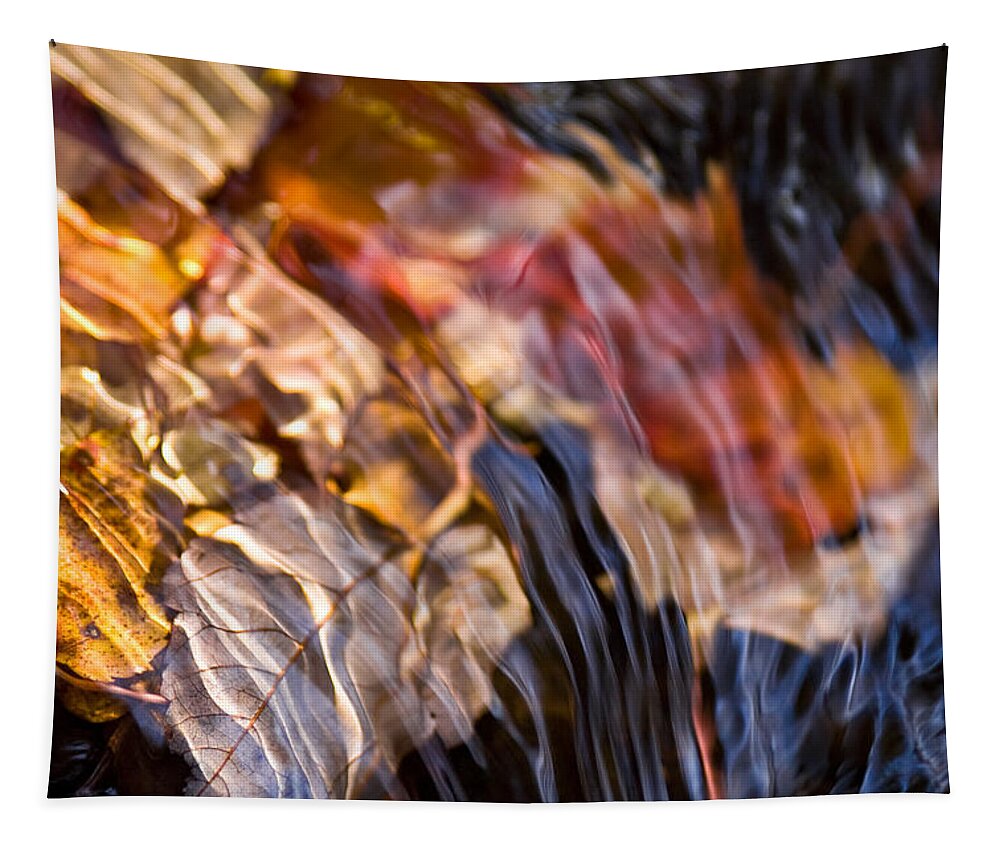 Fall Leaves Tapestry featuring the photograph Autumn Color Beneath the Surface by John Magyar Photography