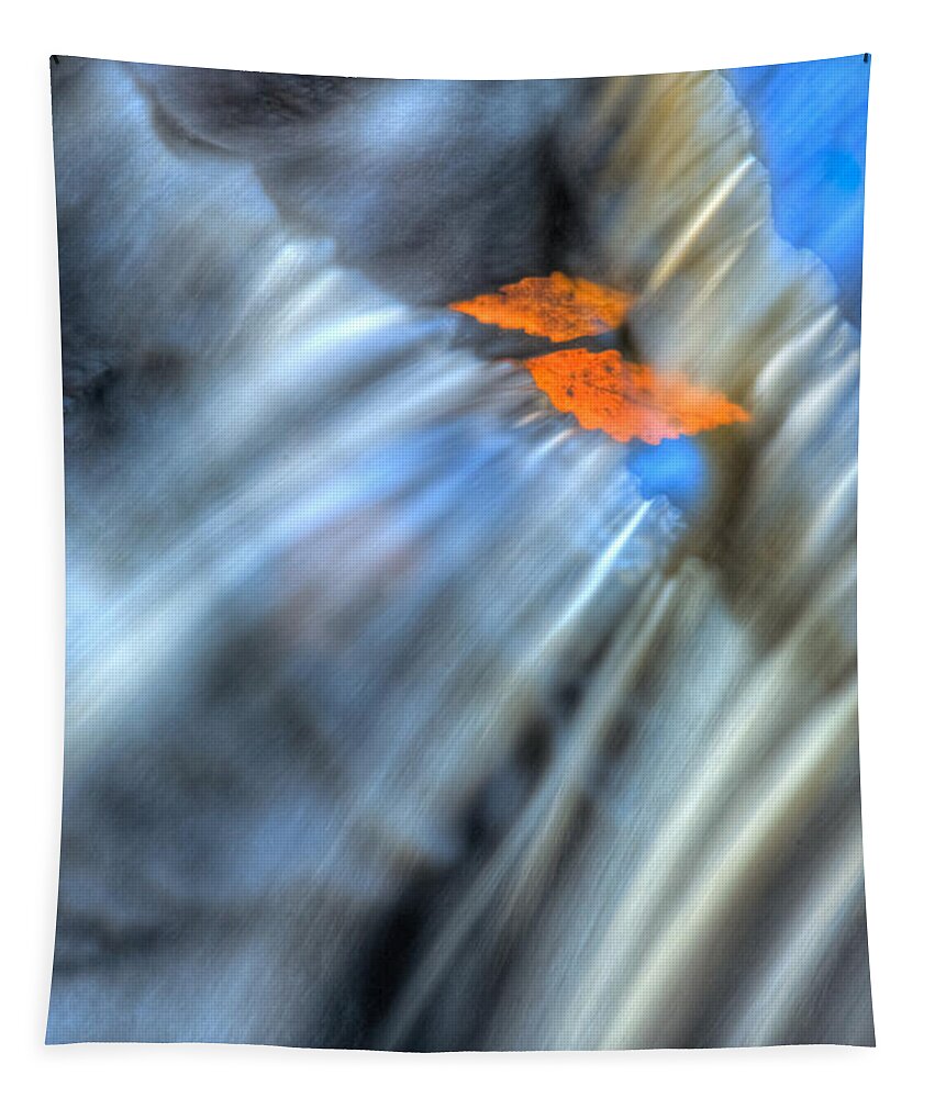 Fall Leaves Tapestry featuring the photograph Autumn Color Caught in Time by John Magyar Photography