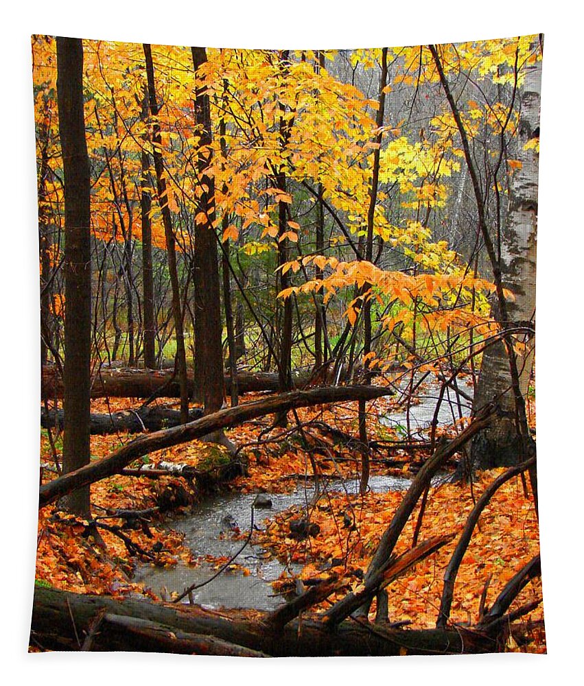 Autumn Tapestry featuring the photograph Autumn Creek in the Rain by Rodney Lee Williams