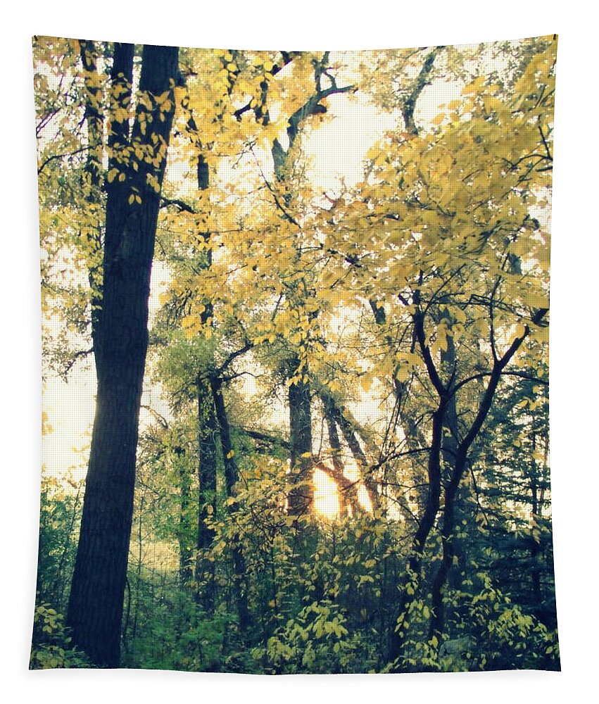 Fall Colors Tapestry featuring the photograph Autumn Evening by Jessica Myscofski
