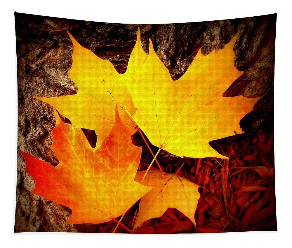 Fine Art Tapestry featuring the photograph Autumn Fire by Rodney Lee Williams