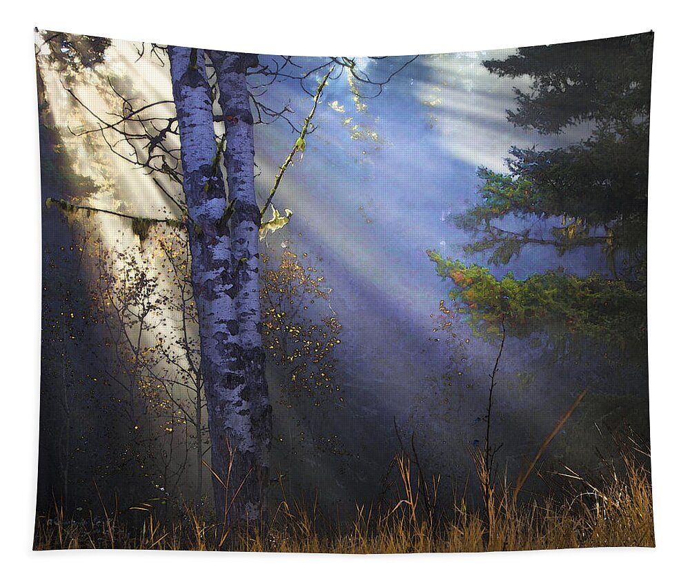 Fantasy Forest Tapestry featuring the photograph Autumn Fog With Sun Rays by Theresa Tahara