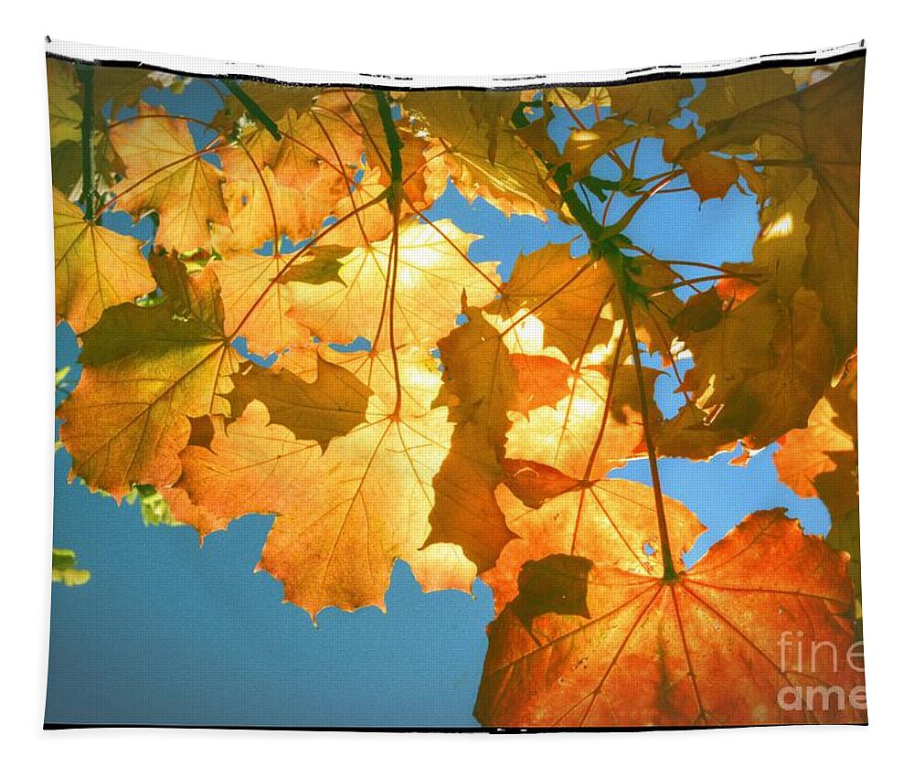Autumn Tapestry featuring the photograph Autumn Found by Spikey Mouse Photography