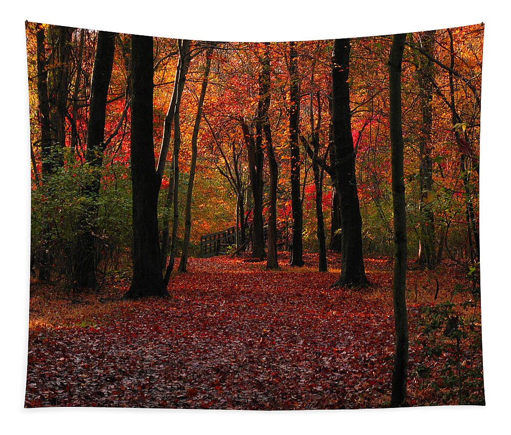 Autumn Tapestry featuring the photograph Autumn III by Raymond Salani III
