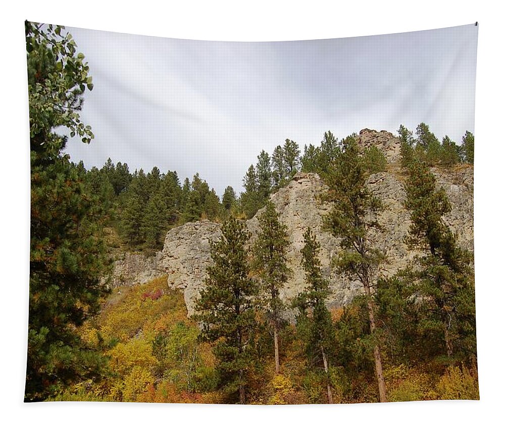 Autumn Tapestry featuring the photograph Autumn in the Canyon by Greni Graph
