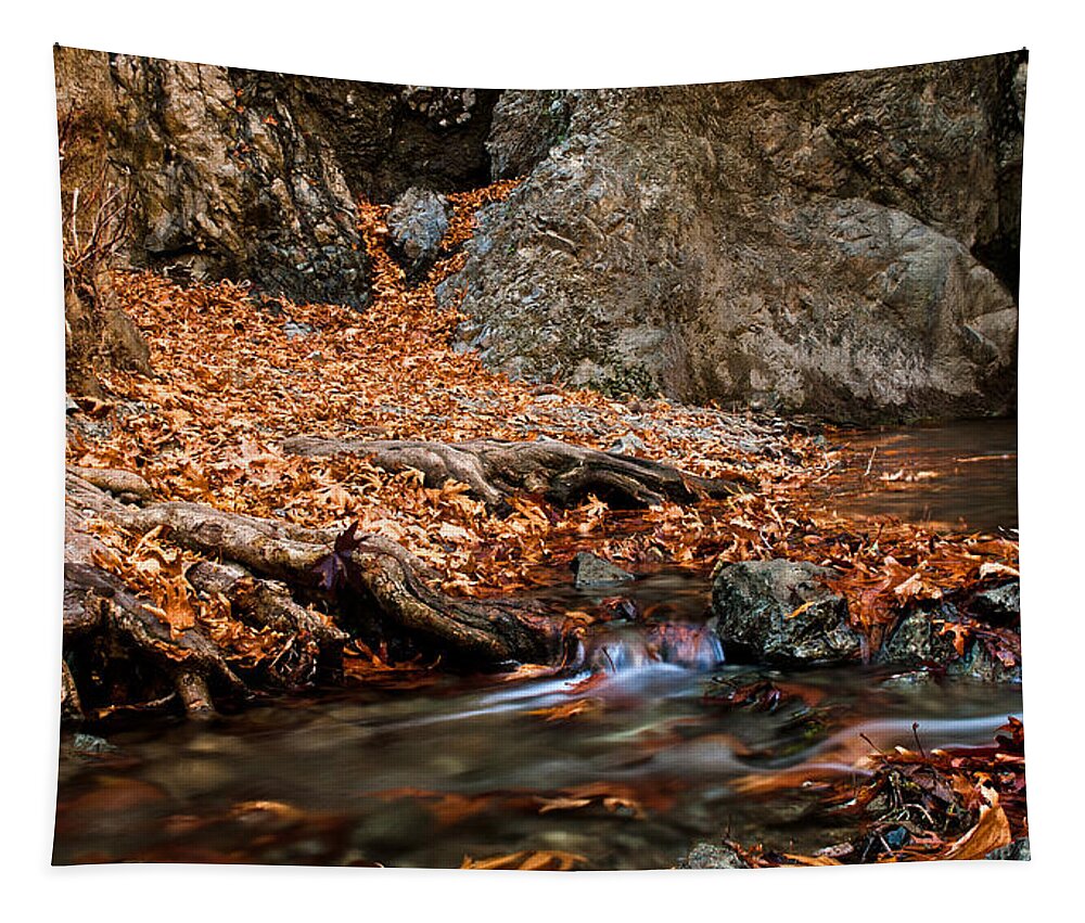 Autumn Tapestry featuring the photograph Autumn landscape by Michalakis Ppalis