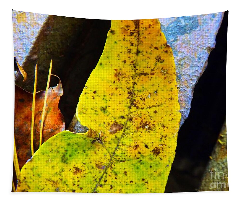 Autumn Tapestry featuring the photograph Autumn Leaves by Robyn King